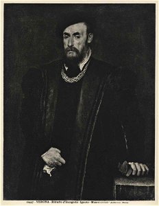 Anonimo veneto sec. XVI - Ritratto di gentiluomo, Museo di Castelvecchio