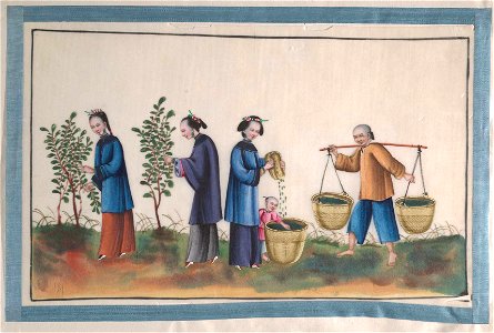 Anonymous - Album Containing Twelve Paintings of People Making Silk - 58.79.4a–l - Metropolitan Museum of Art