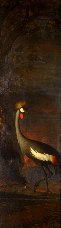 Anonymous - A Crowned Crane - RCIN 406122 - Royal Collection