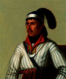 Anonymous - Apauly-Tustennuggee - 1985.66.387,322 - Smithsonian American Art Museum