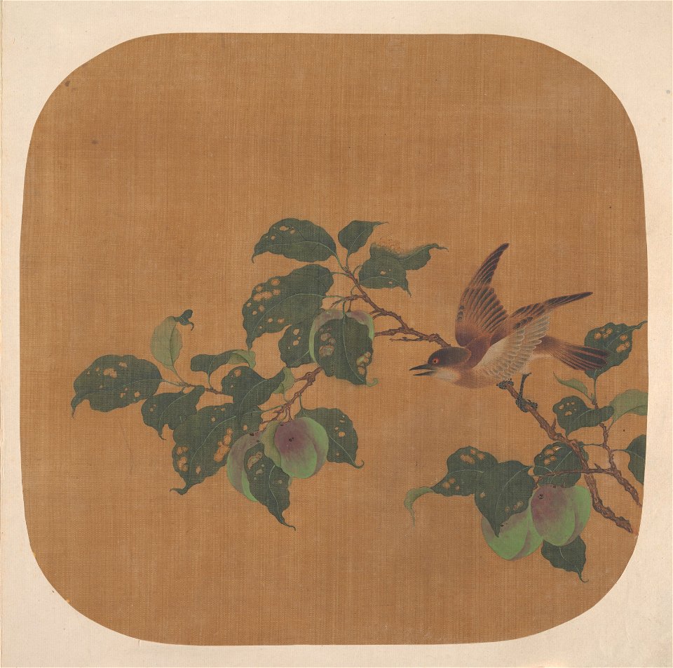 Anonymous - Branch of Flowering Tree with Bird - 13.100.135 - Metropolitan Museum of Art
