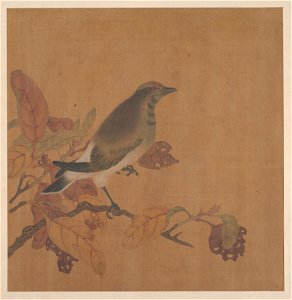 Anonymous - Bird on Branch - 13.100.130 - Metropolitan Museum of Art
