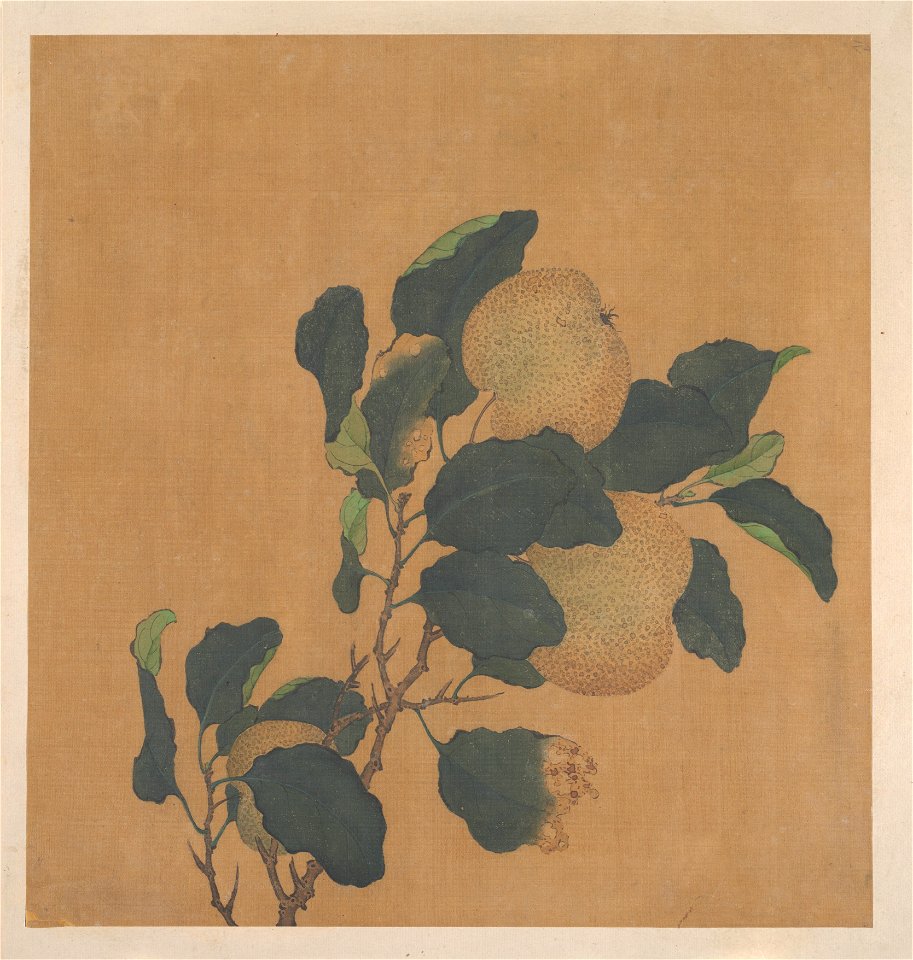 Anonymous - Branch of Tree with Fruit - 13.100.136 - Metropolitan Museum of Art