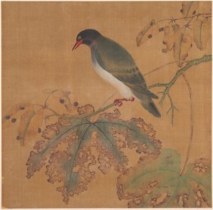 Anonymous - Bird on Branch - 13.100.129 - Metropolitan Museum of Art