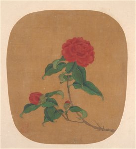 Anonymous - Camellia Flowers - 13.100.132 - Metropolitan Museum of Art