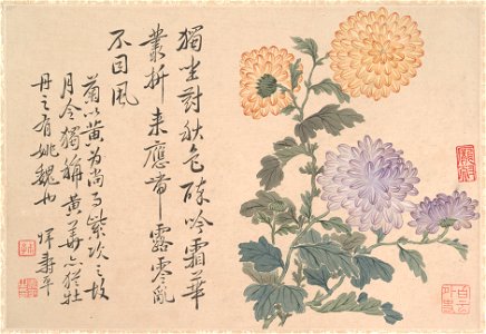 Anonymous - Chrysanthemums - 1989.363.146 - Metropolitan Museum of Art