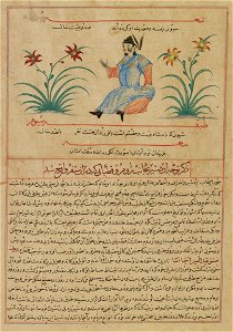 Anonymous - Emperor Shiwan of China, from a manuscript of Hafiz-i Abru’s Majma’ al-tawarikh - 1983.94.20 - Yale University Art Gallery