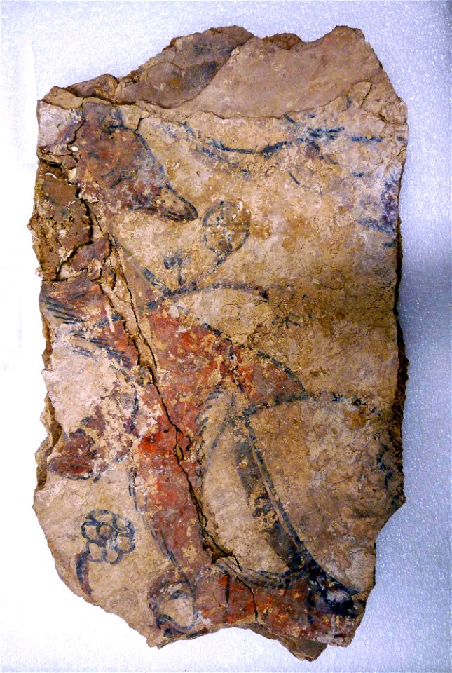 Anonymous - Fragment of a Wall Painting with a Fox or a Dog (and Painted Layers) - 48.101.302 - Metropolitan Museum of Art