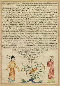Anonymous - Illustration from a manuscript of Hafiz-i Abru’s Majma’ al-tawarikh - 1983.94.8 - Yale University Art Gallery