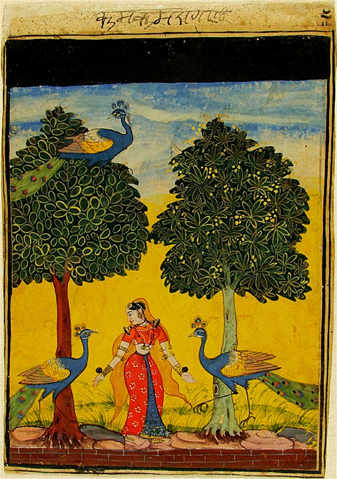 Anonymous - Kakubha Ragini, Lady with Three Peacocks, from a Ragamala Series (Garland of Musical Modes) - 1995.122 - Arthur M. Sackler Museum