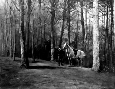 Anonymous - Pine Woods, Magnolia - 10.231 - Museum of Fine Arts