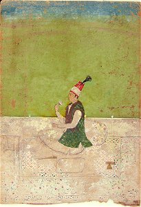 Anonymous - Portrait of a Young Afsharid Nobleman - 1920.23 - Arthur M. Sackler Museum