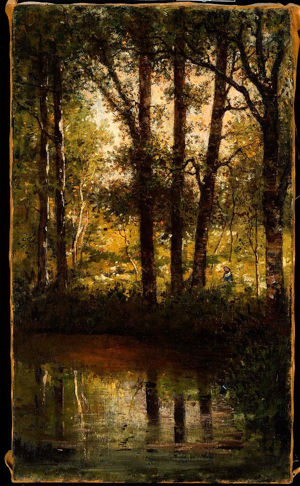 Anonymous - Reflections in the Water - 19.1443 - Museum of Fine Arts