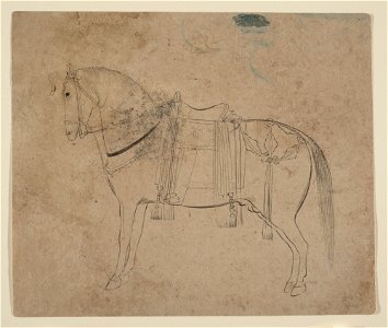 Anonymous - Sketch of a Horse - 2008.359.33 - Metropolitan Museum of Art