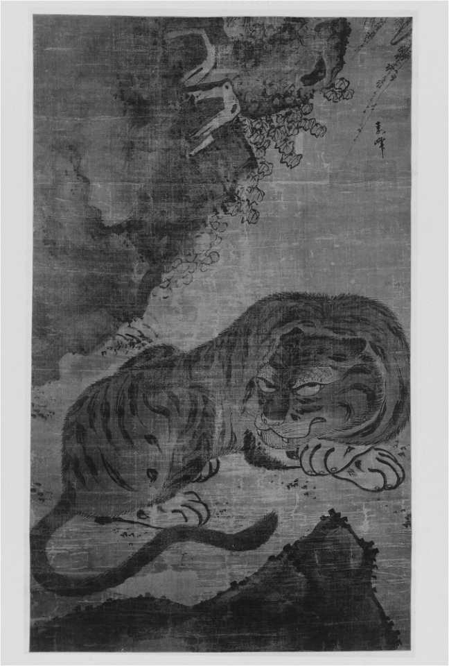 Anonymous - Tiger - 13.220.92 - Metropolitan Museum of Art