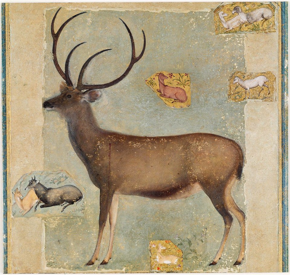 Anonymous - Wounded Buck with Vignettes of Animals - 1999.292 - Arthur M. Sackler Museum