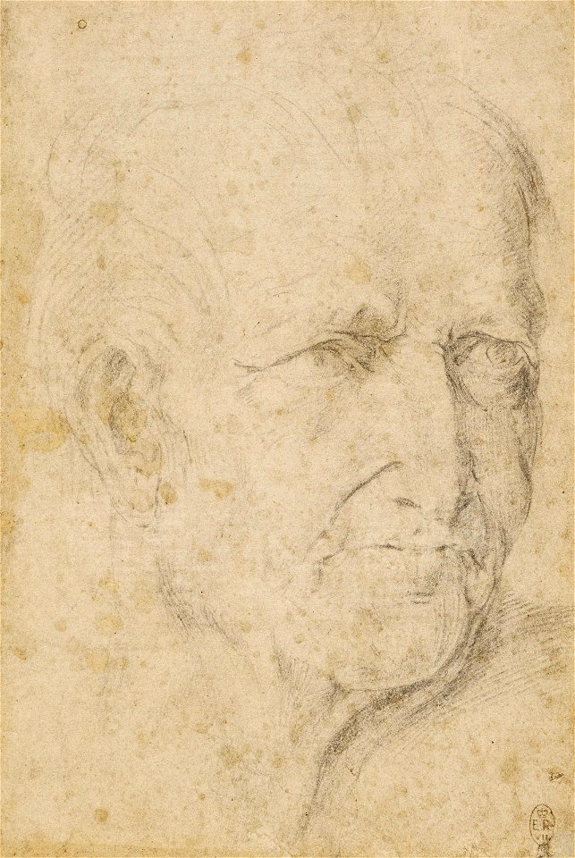 Anonymous north Italian, 16th century - RCIN 990054, The head of a man c. 1550