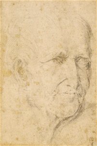 Anonymous north Italian, 16th century - RCIN 990054, The head of a man c. 1550