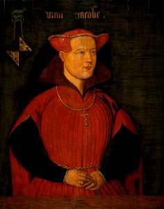 Jacoba van Beieren (1401-1436), gravin van Holland en Zeeland. Free illustration for personal and commercial use.