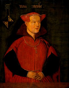 Jacoba van Beieren (1401-1436), gravin van Holland en Zeeland
