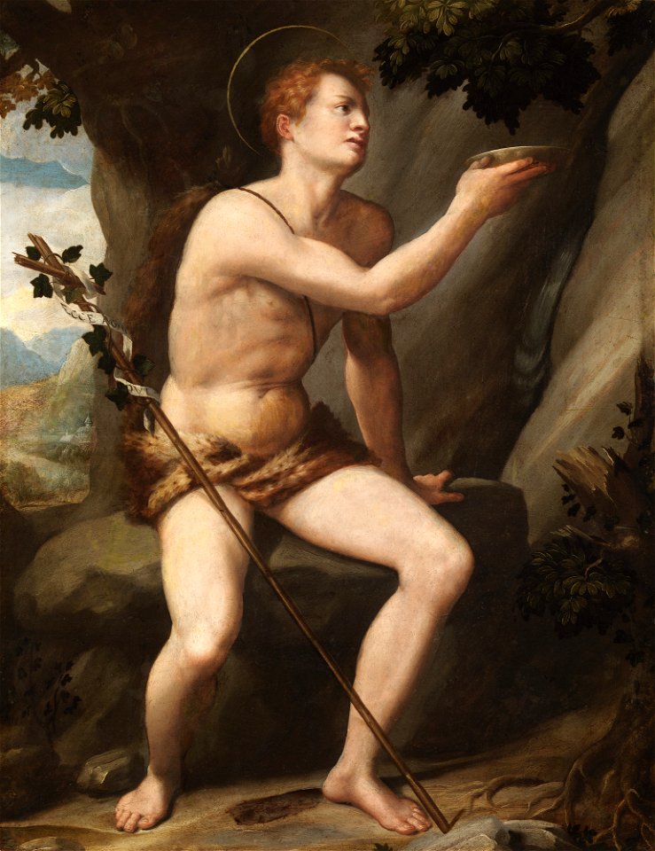 Anonymous, Saint John the Baptist in the Wilderness