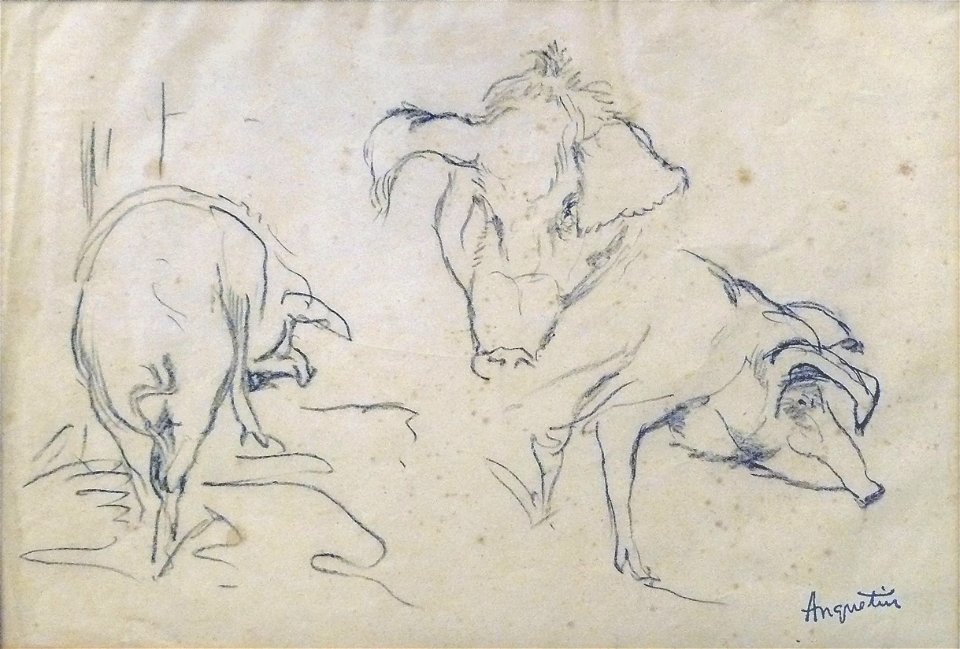 Anquetin L. - Pencil - Etude de cochons (dos, face, profil) - feuille 25x36cm