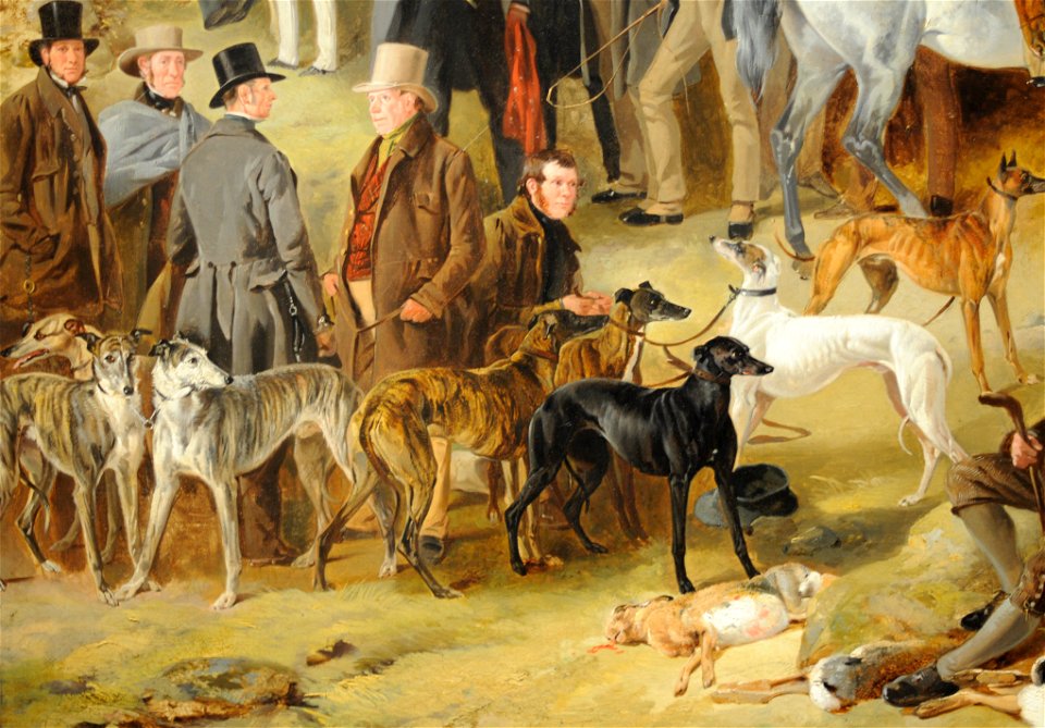 Ansdell Caledonian Coursing detail 1