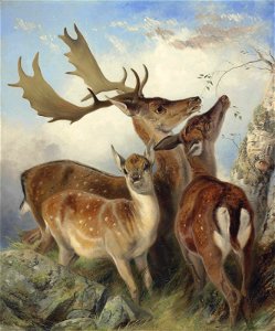 Richard Ansdell - Fallow deer (1855)