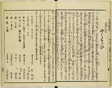 Ansei kenmon shi 安政見聞志 (BM 1939,0524,0.69.2 6)