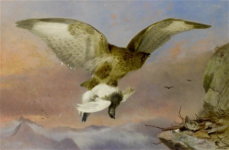 Richard Ansdell - Buzzard with Ptarmigan (1876)