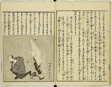 Ansei kenmon shi 安政見聞志 (BM 1939,0524,0.69.3 10)