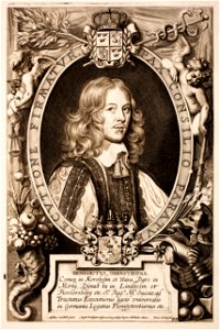 Anselmus-van-Hulle-Hommes-illustres MG 0482