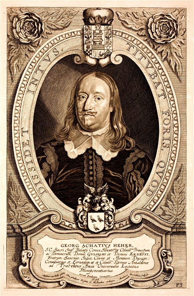 Anselmus-van-Hulle-Hommes-illustres MG 0510