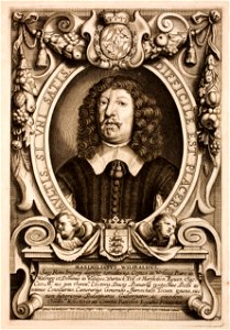 Anselmus-van-Hulle-Hommes-illustres MG 0501