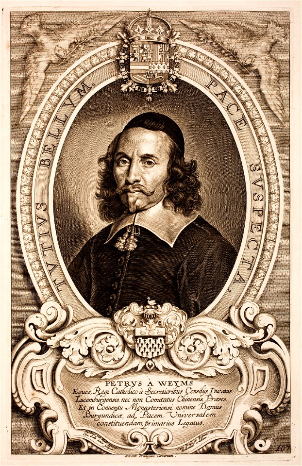 Anselmus-van-Hulle-Hommes-illustres MG 0534