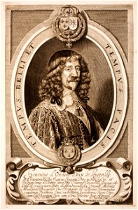 Anselmus-van-Hulle-Hommes-illustres MG 0470