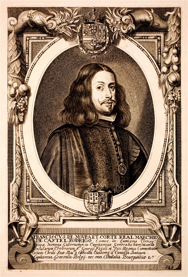 Anselmus-van-Hulle-Hommes-illustres MG 0556