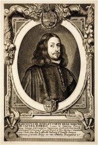 Anselmus-van-Hulle-Hommes-illustres MG 0556