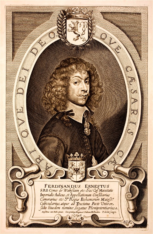 Anselmus-van-Hulle-Hommes-illustres MG 0535