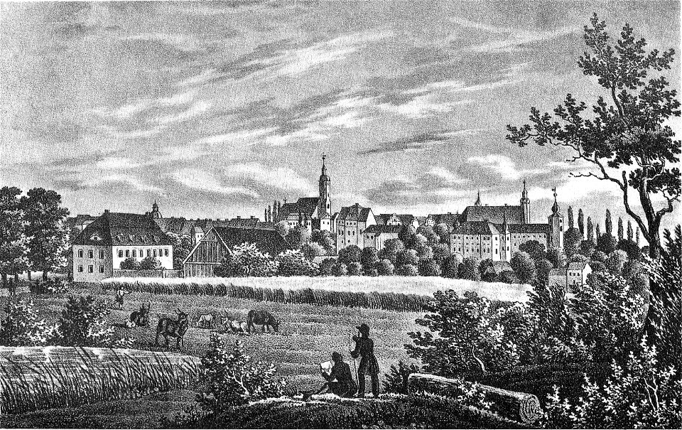 Ansicht Glauchau um 1850