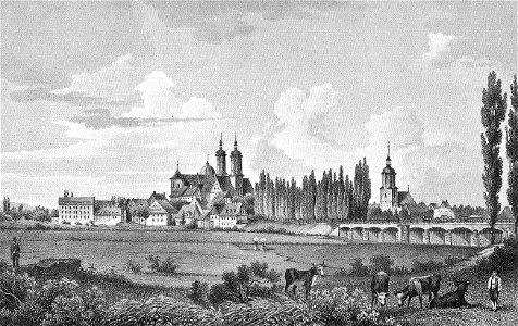 Ansicht Wurzen um 1850