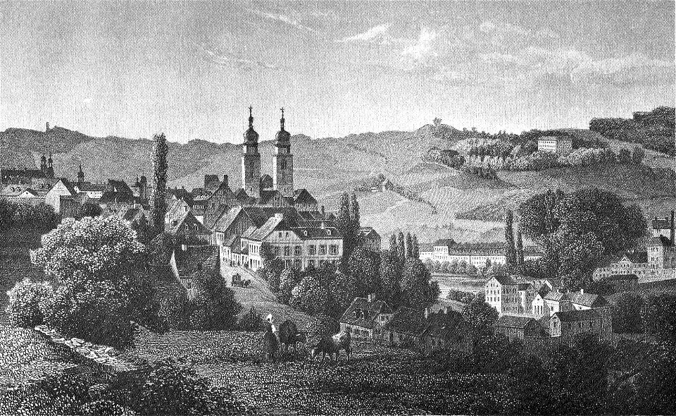 Ansicht Plauen um 1850