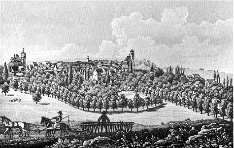 Ansicht Stargard um 1850