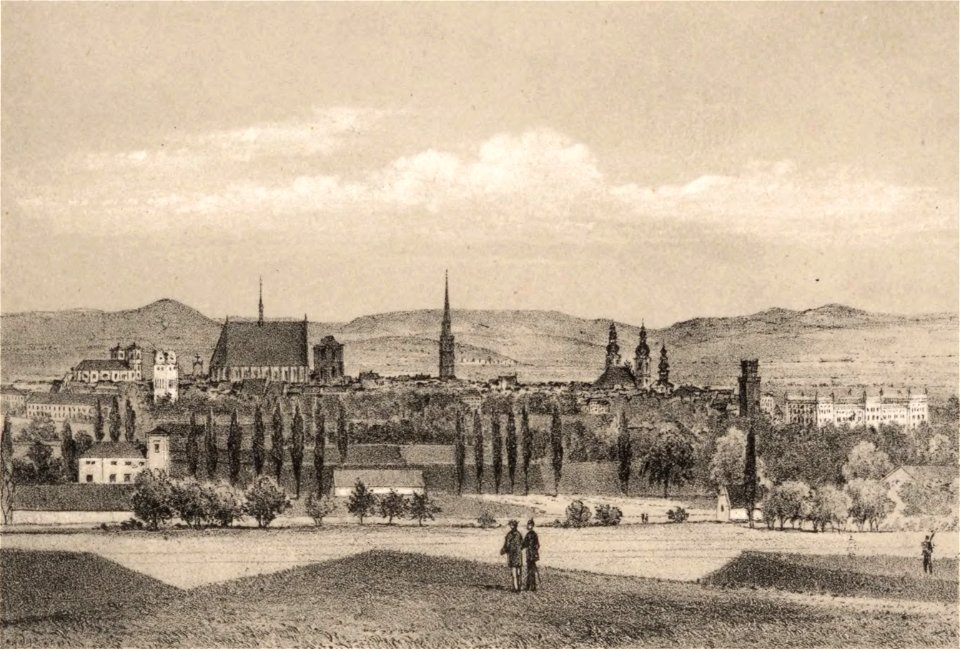 Ansicht von Neisse Lithografie