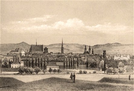 Ansicht von Neisse Lithografie