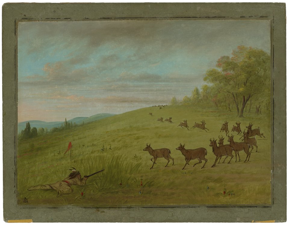 Antelope Shooting - Assinneboine C16288