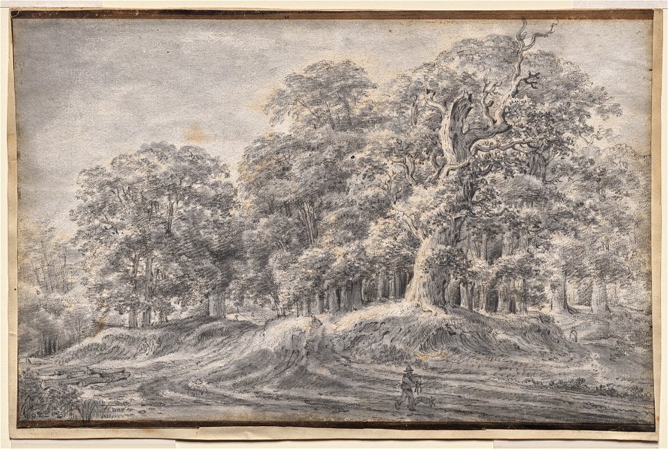 Anthonie Waterloo (Dutch, 1609-10-1690) - A Wood - 2020.144 - Cleveland Museum of Art