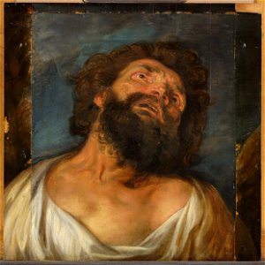 Anthonis van Dyck - Studienkopf eines Schächers - GG 533 - Kunsthistorisches Museum