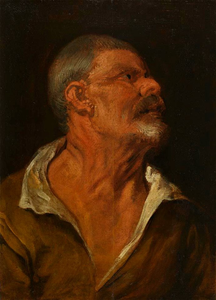 Anthonis van Dyck - Studienkopf - 1240 - Bavarian State Painting Collections