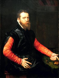 Anthonis Mor Portrait of Steven van Herwijck
